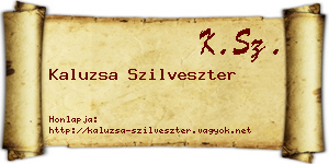 Kaluzsa Szilveszter névjegykártya